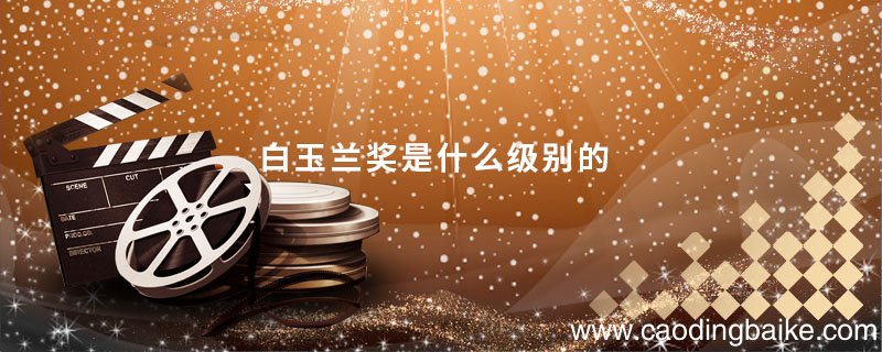 白玉兰奖是什么级别的 白玉兰奖是什么级别的呢