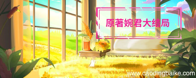 原著婉君大结局 婉君大结局剧情介绍