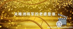 关雎洲将军的老婆是谁战将关雎洲是谁演的