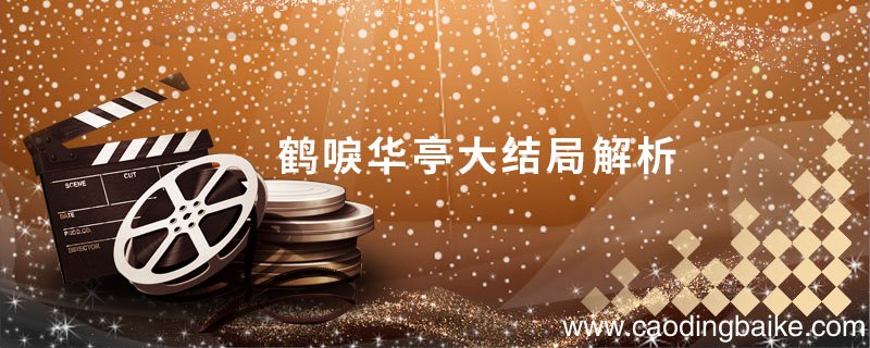 鹤唳华亭大结局解析 鹤唳华亭大结局什么意思