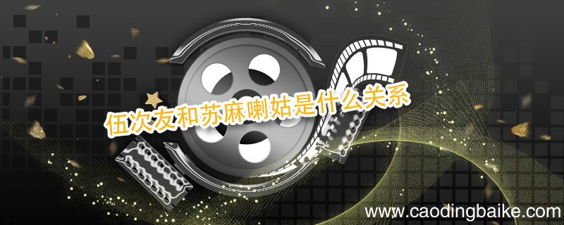 伍次友和苏麻喇姑是什么关系 伍次友和苏麻的关系