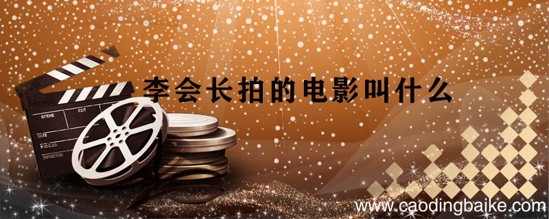 李会长拍的电影叫什么 李会长拍的电影是什么