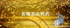 玄难怎么死的谁杀了玄悲大师