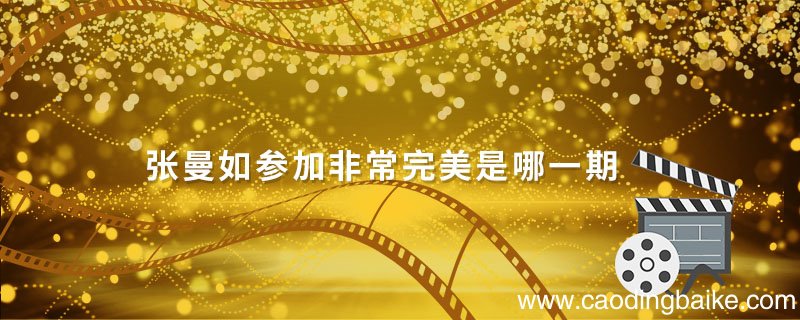张曼如参加非常完美是哪一期 张曼如是什么样的人