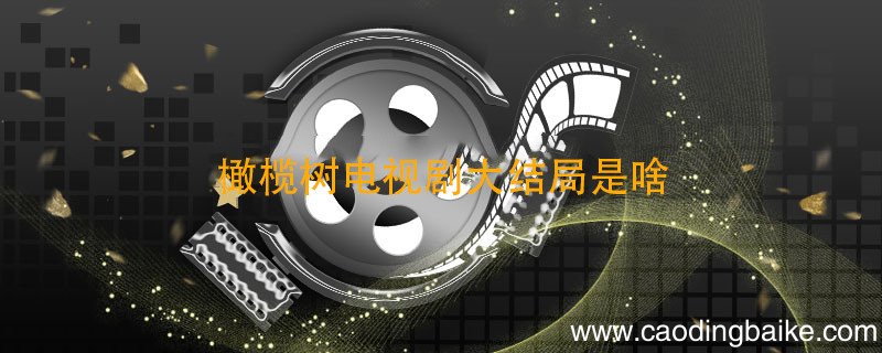 橄榄树电视剧大结局是啥 电视剧橄榄树的结局是怎样的