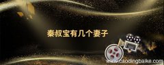 秦叔宝有几个妻子 秦叔宝的妻子叫什么名字