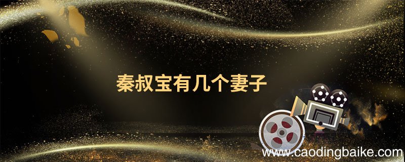 秦叔宝有几个妻子 秦叔宝的妻子叫什么名字