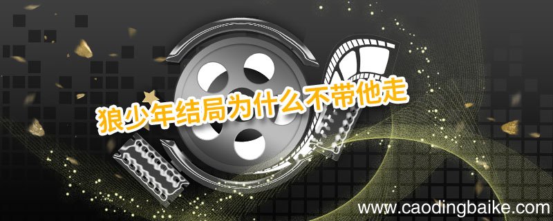 狼少年结局为什么不带他走 狼少年最后为什么要走