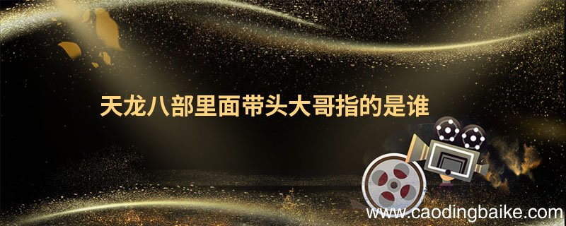 天龙八部里面带头大哥指的是谁 天龙八带头大哥是谁演的