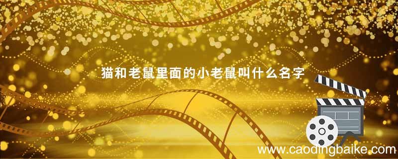 猫和老鼠里面的小老鼠叫什么名字 猫和老鼠里的小老鼠是谁