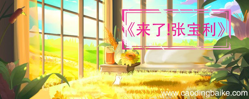 来了张宝利大结局 来了张宝利大结局是什么