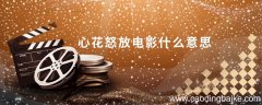 心花怒放电影什么意思 心花怒放电影简介