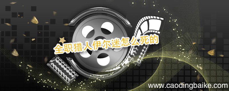 全职猎人伊尔迷怎么死的 全职猎人伊尔迷死了吗