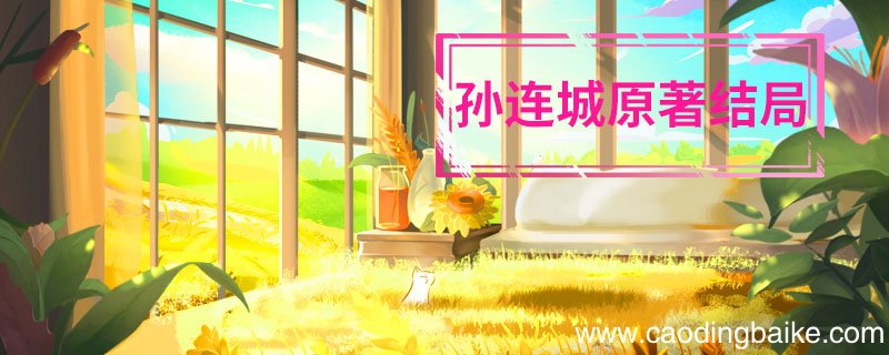 孙连城原著结局 孙连城最后怎么样了