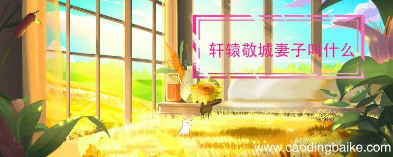轩辕敬城妻子叫什么 轩辕敬城妻子叫