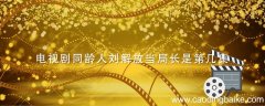 电视剧同龄人刘解放当局长是第几集 刘解放电视剧当局长哪一集