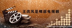 王改凤是哪部电视剧 王凤改是什么电视剧