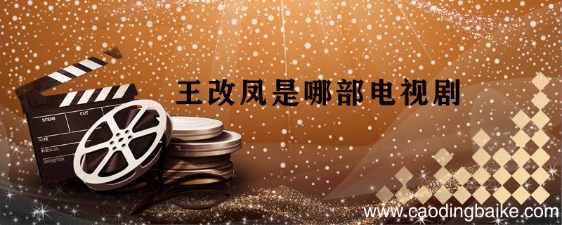 王改凤是哪部电视剧 王凤改是什么电视剧