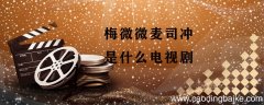 梅微微麦司冲是什么电视剧 梅微微麦司冲什么电视剧