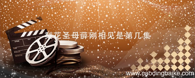 梨花圣母薛刚相见是第几集 薛刚和母亲相认是第几集