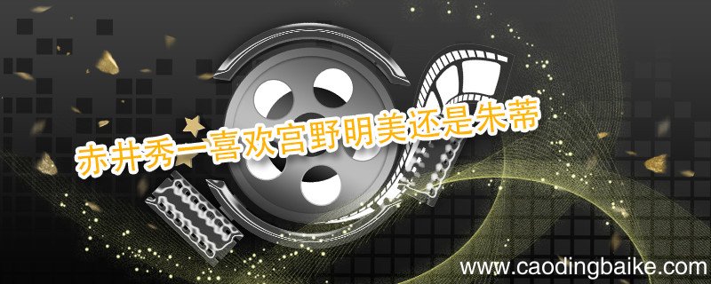 赤井秀一喜欢宫野明美还是朱蒂 赤井秀一喜欢宫野明美吗