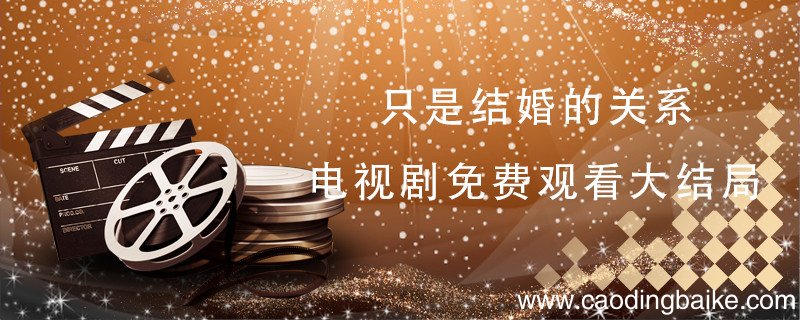 只是结婚的关系电视剧免费观看大结局 只是结婚的关系播出时间