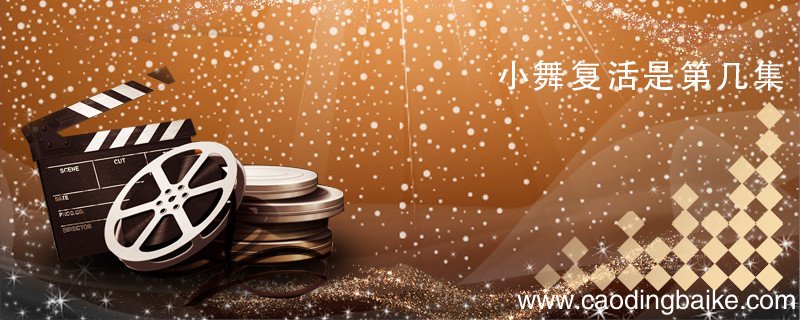 小舞复活是第几集 小舞复活是第几集动漫