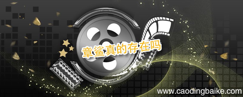 章鲨真的存在吗 章鲨剧情介绍