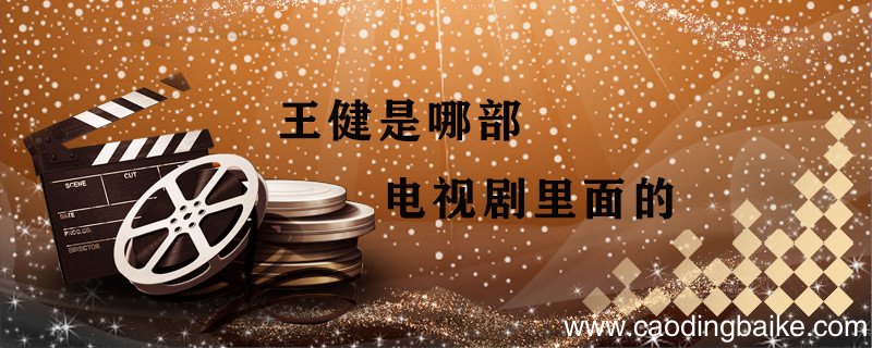 王健是哪部电视剧里面的 王健是啥电视里面的