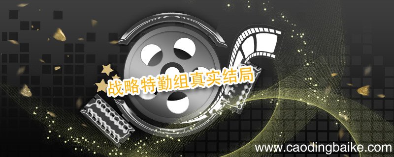 战略特勤组真实结局 战略特勤组结局是什么