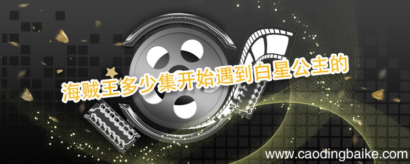 海贼王多少集开始遇到白星公主的 白星公主出现在海贼王第几集