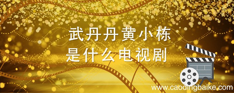 武丹丹黄小栋是什么电视剧 小栋和丹丹是哪个电视剧的
