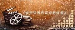 知否结局 知否结局是什么