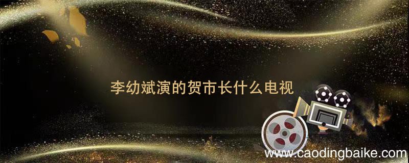 李幼斌演的贺市长什么电视 李幼斌演贺市长是什么电视剧