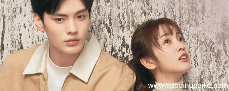 世界微尘里有多少集 电视剧世界微尘里有多少集