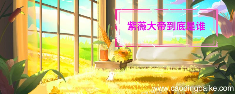 紫薇大帝到底是谁，紫薇大帝到底是谁呢