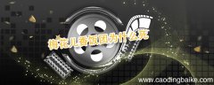 梅花儿香饭团为什么死 梅花儿香饭团怎么死的