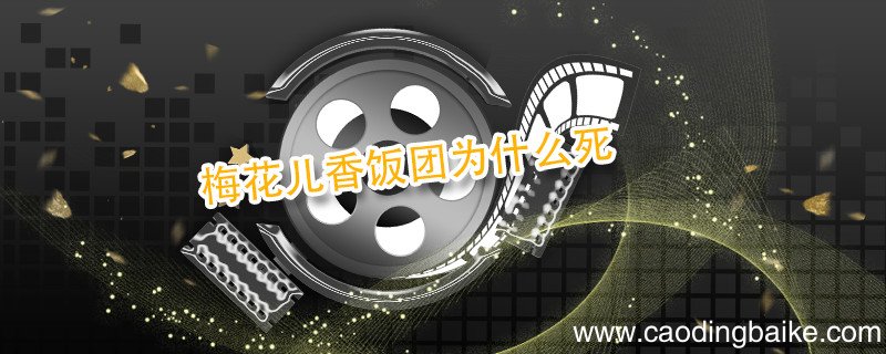 梅花儿香饭团为什么死 梅花儿香饭团怎么死的