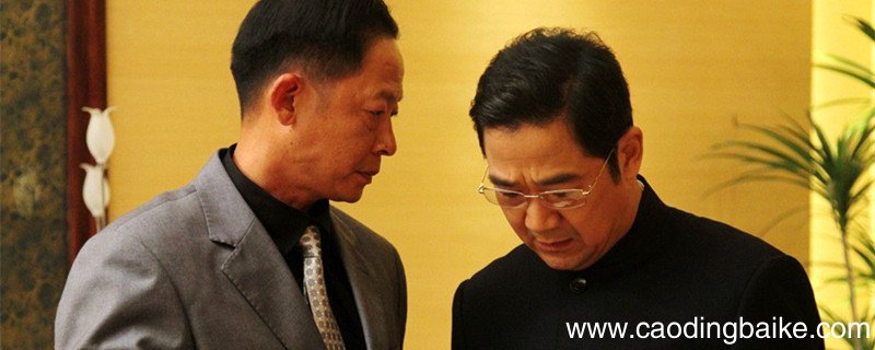 张仲平是哪部电视剧里的人物 张仲平是什么电视剧里的