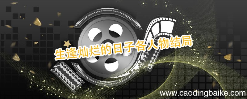 生逢灿烂的日子各人物结局 生逢灿烂的日子人物结局介绍