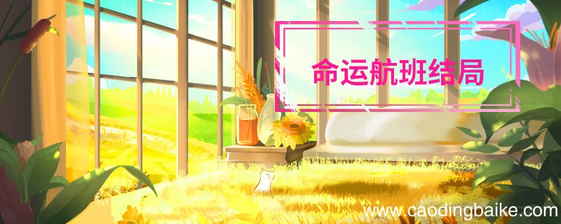 命运航班结局 命运航班结局解析