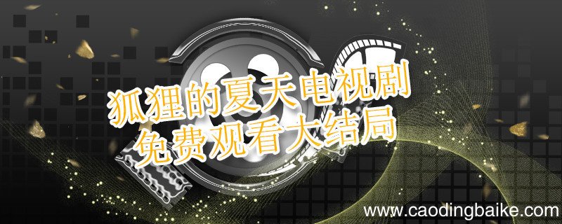 狐狸的夏天电视剧免费观看大结局 狐狸的夏天结局