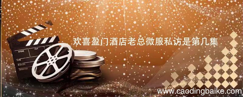 欢喜盈门酒店老总微服私访是第几集 欢喜盈门酒店老总微服私访