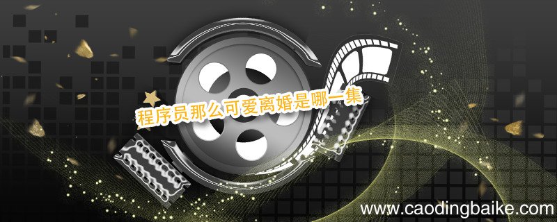 程序员那么可爱离婚是哪一集 程序员那么可爱离婚第几集