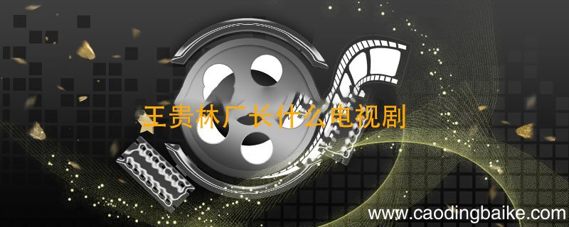 王贵林厂长什么电视剧 王贵林厂长是什么电视剧里的人物