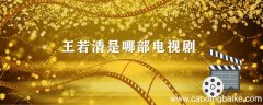 王若清是哪部电视剧 王若清的电视剧是哪些
