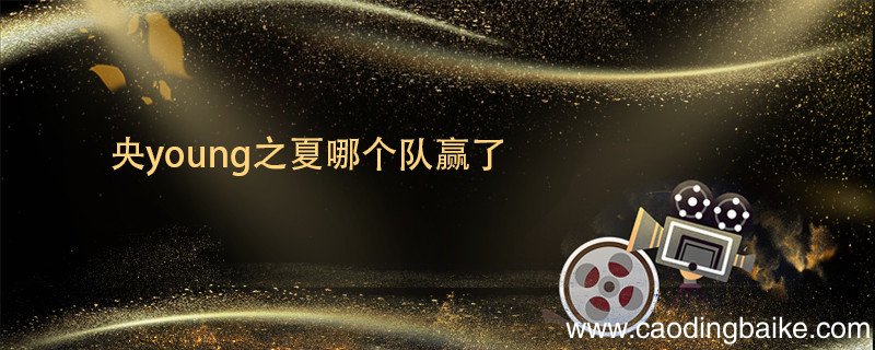 央young之夏哪个队赢了 央young之夏介绍