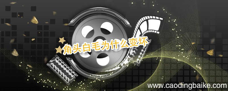 角头白毛为什么变坏 角头里的白毛