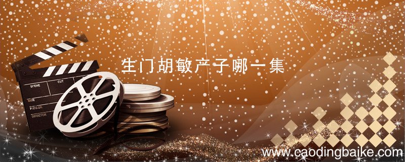 生门胡敏产子哪一集 生门胡敏产子是第几集