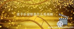 夜子乐俊凯是什么电视剧 乐俊凯是哪部电视剧